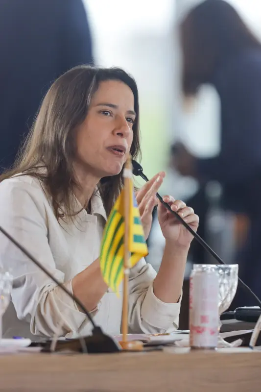  <div class='credito_fotos'>Foto: Pedro Guerreiro / Ag. Pará &nbsp;&nbsp;|&nbsp;&nbsp; <a href='/midias/2025/originais/20250813173238-GF00024463-F00430586.jpg' download><i class='fa-solid fa-download'></i> Download</a></div>