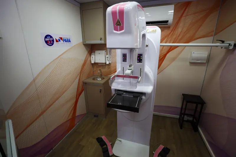  <div class='credito_fotos'>Foto: Bruno Cruz / Ag. Pará &nbsp;&nbsp;|&nbsp;&nbsp; <a href='/midias/2025/originais/20250818114235-GF00024512-F00431778.jpg' download><i class='fa-solid fa-download'></i> Download</a></div>