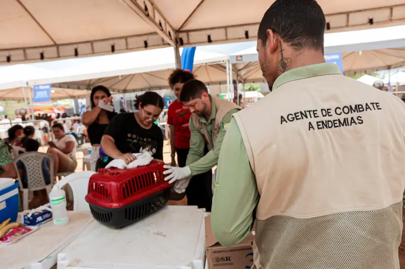  <div class='credito_fotos'>Foto: Pedro Guerreiro / Ag. Pará &nbsp;&nbsp;|&nbsp;&nbsp; <a href='/midias/2025/originais/20250823125441-GF00024593-F00434498.jpg' download><i class='fa-solid fa-download'></i> Download</a></div>