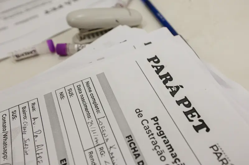  <div class='credito_fotos'>Foto: Pedro Guerreiro / Ag. Pará &nbsp;&nbsp;|&nbsp;&nbsp; <a href='/midias/2025/originais/20250823125500-GF00024593-F00434502.jpg' download><i class='fa-solid fa-download'></i> Download</a></div>