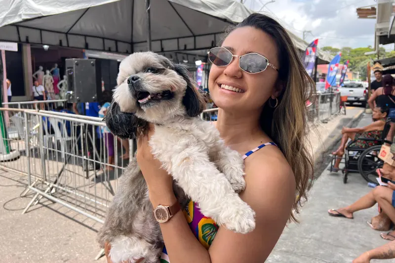 Atendimentos de saúde para pets.