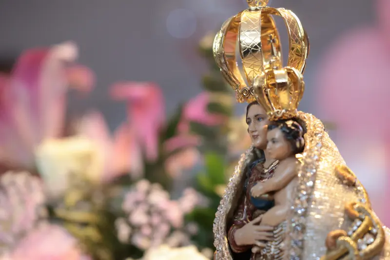  <div class='credito_fotos'>Foto: Pedro Guerreiro / Ag. Pará &nbsp;&nbsp;|&nbsp;&nbsp; <a href='/midias/2025/originais/20250905144311-GF00024748-F00439810.jpg' download><i class='fa-solid fa-download'></i> Download</a></div>