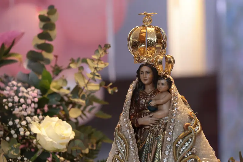  <div class='credito_fotos'>Foto: Pedro Guerreiro / Ag. Pará &nbsp;&nbsp;|&nbsp;&nbsp; <a href='/midias/2025/originais/20250905144354-GF00024748-F00439833.jpg' download><i class='fa-solid fa-download'></i> Download</a></div>