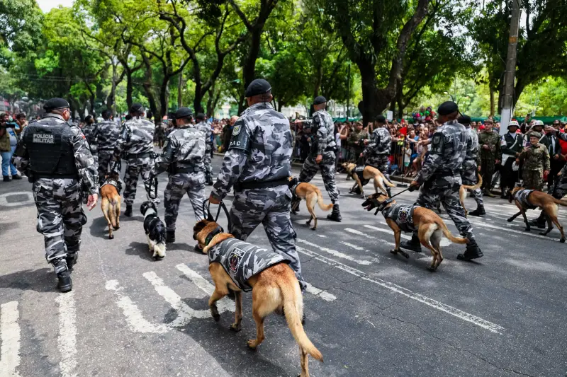  <div class='credito_fotos'>Foto: Marco Santos / Ag. Pará &nbsp;&nbsp;|&nbsp;&nbsp; <a href='/midias/2025/originais/20250907130356-GF00024761-F00440573.jpg' download><i class='fa-solid fa-download'></i> Download</a></div>