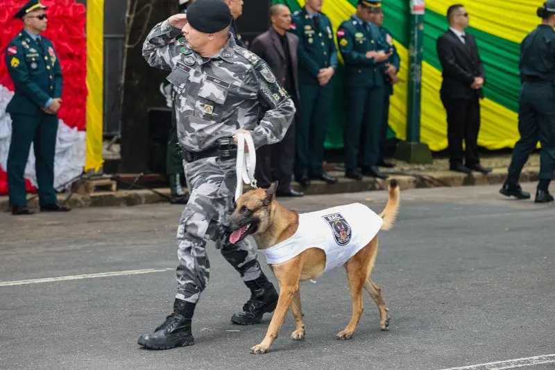  <div class='credito_fotos'>Foto: Bruno Cruz / Ag. Pará &nbsp;&nbsp;|&nbsp;&nbsp; <a href='/midias/2025/originais/20250907132633-GF00024760-F00440703.jpg' download><i class='fa-solid fa-download'></i> Download</a></div>