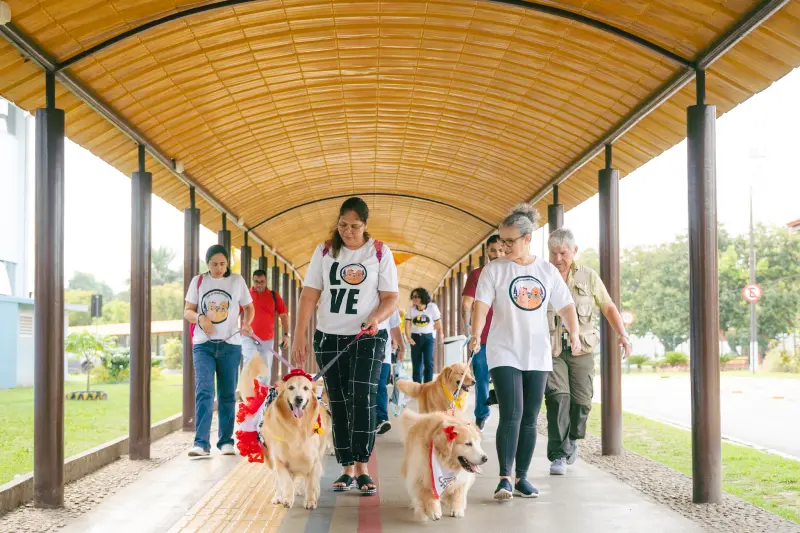 Cães terapeutas no CIIR