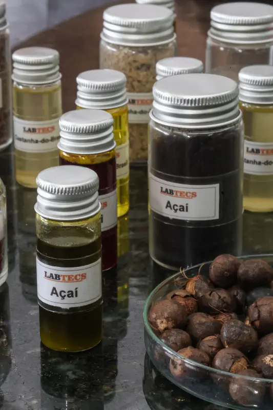  <div class='credito_fotos'>Foto: Bruno Cecim / Ag.Pará &nbsp;&nbsp;|&nbsp;&nbsp; <a href='/midias/2025/originais/20250926161720-GF00024987-F00448206.jpg' download><i class='fa-solid fa-download'></i> Download</a></div>