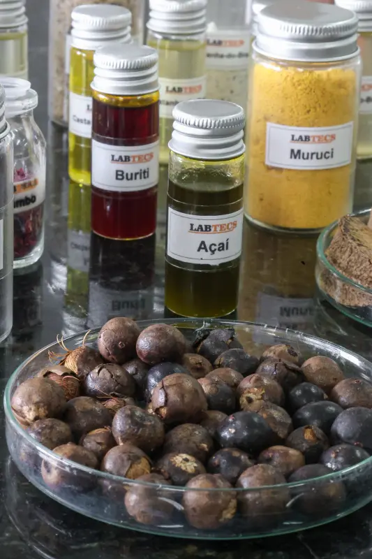  <div class='credito_fotos'>Foto: Bruno Cecim / Ag.Pará &nbsp;&nbsp;|&nbsp;&nbsp; <a href='/midias/2025/originais/20250926161722-GF00024987-F00448207.jpg' download><i class='fa-solid fa-download'></i> Download</a></div>