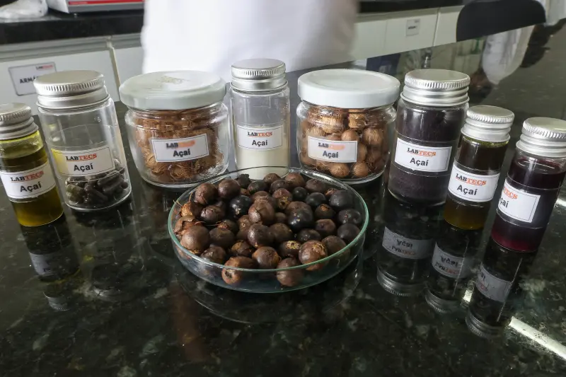  <div class='credito_fotos'>Foto: Bruno Cecim / Ag.Pará &nbsp;&nbsp;|&nbsp;&nbsp; <a href='/midias/2025/originais/20250926161742-GF00024987-F00448219.jpg' download><i class='fa-solid fa-download'></i> Download</a></div>