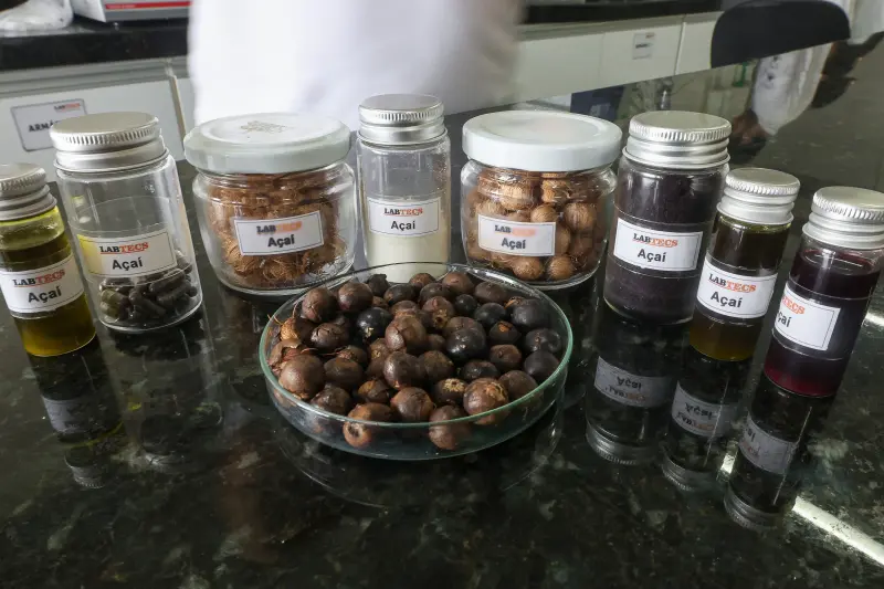  <div class='credito_fotos'>Foto: Bruno Cecim / Ag.Pará &nbsp;&nbsp;|&nbsp;&nbsp; <a href='/midias/2025/originais/20250926161743-GF00024987-F00448220.jpg' download><i class='fa-solid fa-download'></i> Download</a></div>