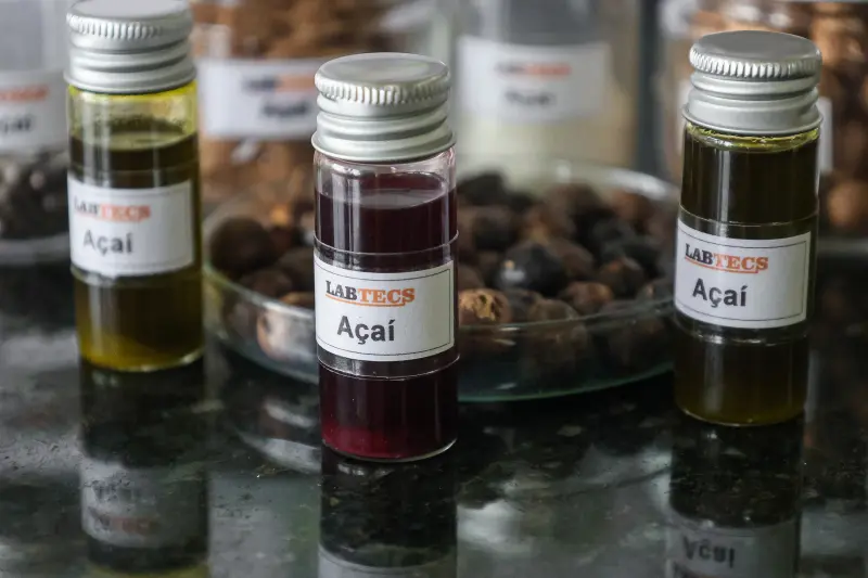  <div class='credito_fotos'>Foto: Bruno Cecim / Ag.Pará &nbsp;&nbsp;|&nbsp;&nbsp; <a href='/midias/2025/originais/20250926161745-GF00024987-F00448221.jpg' download><i class='fa-solid fa-download'></i> Download</a></div>