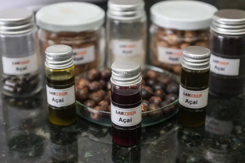  <div class='credito_fotos'>Foto: Bruno Cecim / Ag.Pará &nbsp;&nbsp;|&nbsp;&nbsp; <a href='/midias/2025/originais/20250926161746-GF00024987-F00448222.jpg' download><i class='fa-solid fa-download'></i> Download</a></div>