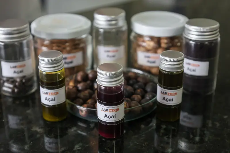  <div class='credito_fotos'>Foto: Bruno Cecim / Ag.Pará &nbsp;&nbsp;|&nbsp;&nbsp; <a href='/midias/2025/originais/20250926161748-GF00024987-F00448223.jpg' download><i class='fa-solid fa-download'></i> Download</a></div>