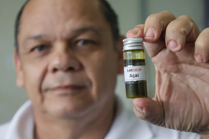  <div class='credito_fotos'>Foto: Bruno Cecim / Ag.Pará &nbsp;&nbsp;|&nbsp;&nbsp; <a href='/midias/2025/originais/20250926161802-GF00024987-F00448231.jpg' download><i class='fa-solid fa-download'></i> Download</a></div>