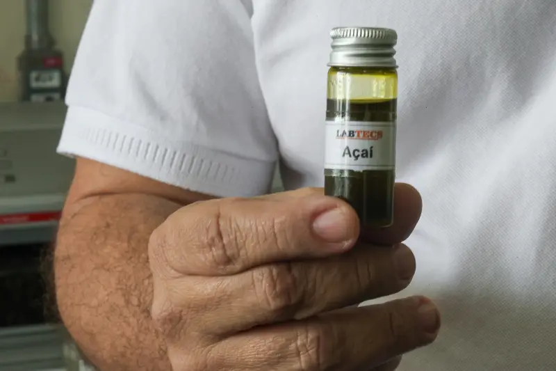  <div class='credito_fotos'>Foto: Bruno Cecim / Ag.Pará &nbsp;&nbsp;|&nbsp;&nbsp; <a href='/midias/2025/originais/20250926161806-GF00024987-F00448233.jpg' download><i class='fa-solid fa-download'></i> Download</a></div>