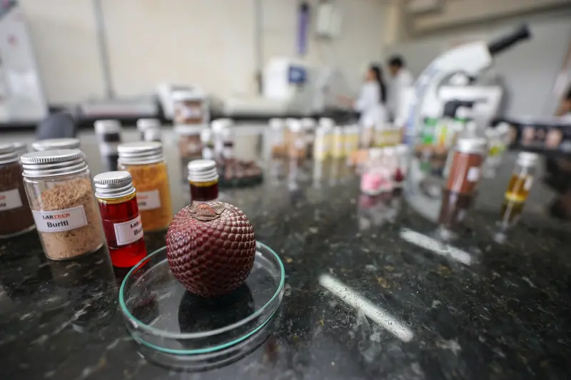  <div class='credito_fotos'>Foto: Bruno Cecim / Ag.Pará &nbsp;&nbsp;|&nbsp;&nbsp; <a href='/midias/2025/originais/20250926161809-GF00024987-F00448235.jpg' download><i class='fa-solid fa-download'></i> Download</a></div>