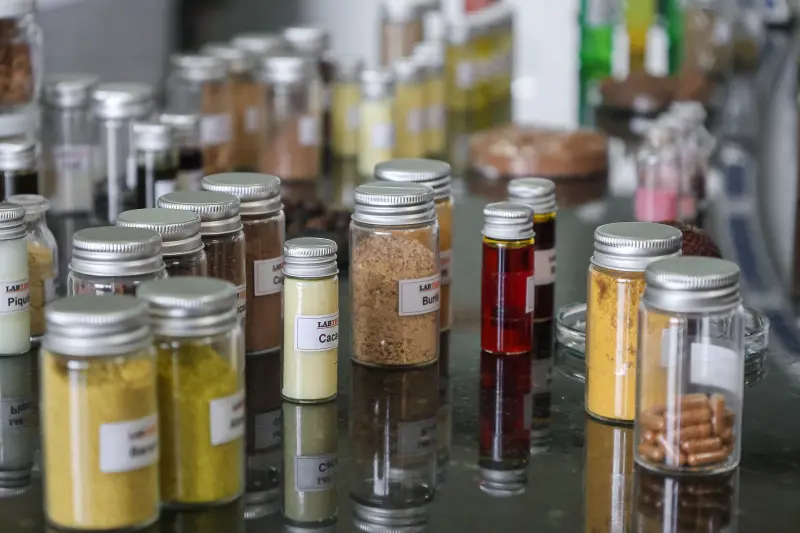  <div class='credito_fotos'>Foto: Bruno Cecim / Ag.Pará &nbsp;&nbsp;|&nbsp;&nbsp; <a href='/midias/2025/originais/20250926161843-GF00024987-F00448242.jpg' download><i class='fa-solid fa-download'></i> Download</a></div>