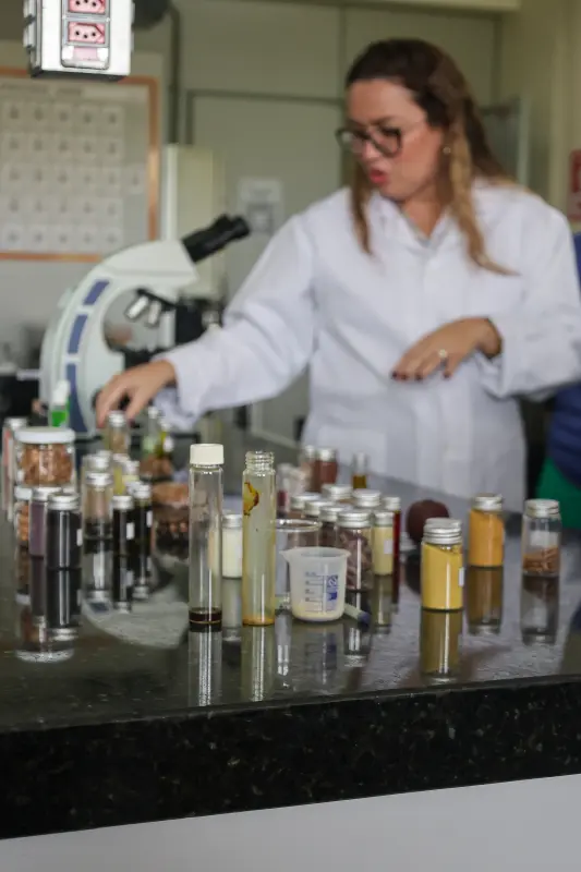  <div class='credito_fotos'>Foto: Bruno Cecim / Ag.Pará &nbsp;&nbsp;|&nbsp;&nbsp; <a href='/midias/2025/originais/20250926161848-GF00024987-F00448245.jpg' download><i class='fa-solid fa-download'></i> Download</a></div>