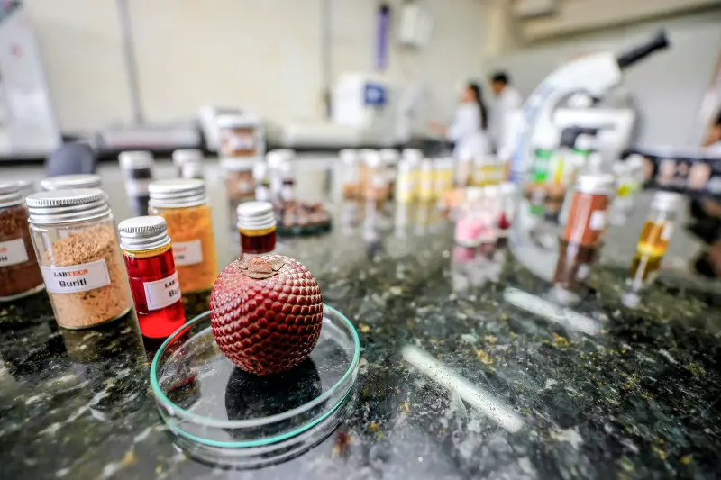  <div class='credito_fotos'>Foto: Bruno Cecim / Ag.Pará &nbsp;&nbsp;|&nbsp;&nbsp; <a href='/midias/2025/originais/20250926161852-GF00024987-F00448247.jpg' download><i class='fa-solid fa-download'></i> Download</a></div>