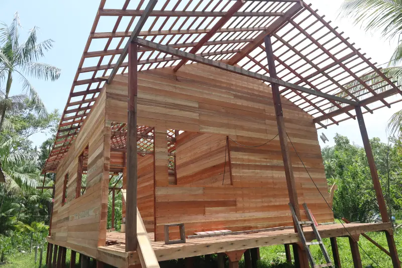  <div class='credito_fotos'>Foto: Bruno Cecim / Ag.Pará &nbsp;&nbsp;|&nbsp;&nbsp; <a href='/midias/2025/originais/20251001132040-GF00025024-F00449874.jpg' download><i class='fa-solid fa-download'></i> Download</a></div>