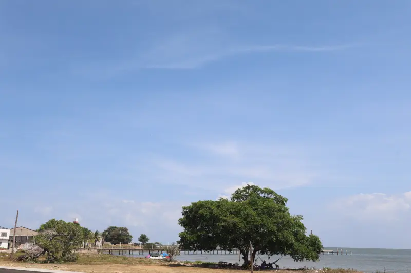  <div class='credito_fotos'>Foto: Bruno Cruz / Ag. Pará &nbsp;&nbsp;|&nbsp;&nbsp; <a href='/midias/2025/originais/20251014132934-GF00025167-F00455096.jpg' download><i class='fa-solid fa-download'></i> Download</a></div>