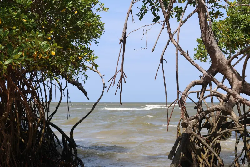  <div class='credito_fotos'>Foto: Bruno Cruz / Ag. Pará &nbsp;&nbsp;|&nbsp;&nbsp; <a href='/midias/2025/originais/20251014132959-GF00025167-F00455100.jpg' download><i class='fa-solid fa-download'></i> Download</a></div>