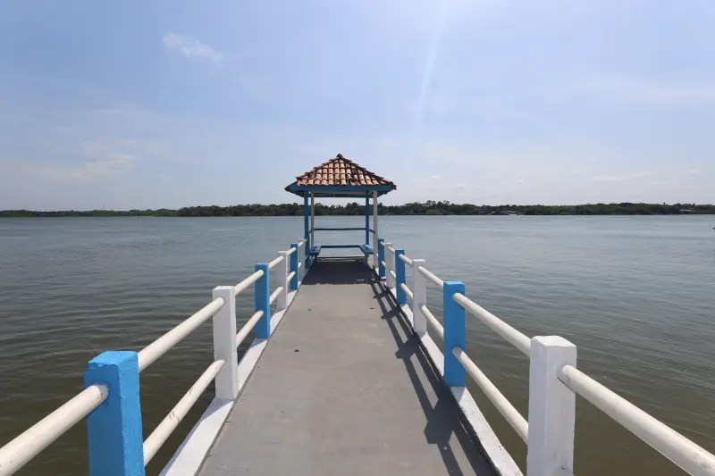  <div class='credito_fotos'>Foto: Bruno Cruz / Ag. Pará &nbsp;&nbsp;|&nbsp;&nbsp; <a href='/midias/2025/originais/20251014133049-GF00025167-F00455110.jpg' download><i class='fa-solid fa-download'></i> Download</a></div>