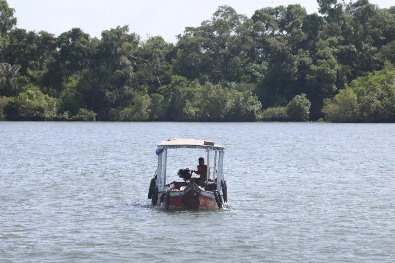  <div class='credito_fotos'>Foto: Bruno Cruz / Ag. Pará &nbsp;&nbsp;|&nbsp;&nbsp; <a href='/midias/2025/originais/20251014133114-GF00025167-F00455118.jpg' download><i class='fa-solid fa-download'></i> Download</a></div>