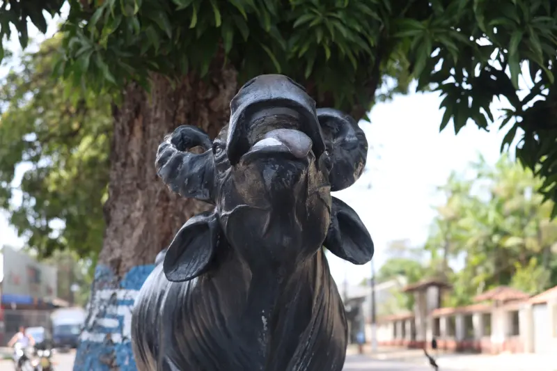  <div class='credito_fotos'>Foto: Bruno Cruz / Ag. Pará &nbsp;&nbsp;|&nbsp;&nbsp; <a href='/midias/2025/originais/20251014133132-GF00025167-F00455126.jpg' download><i class='fa-solid fa-download'></i> Download</a></div>