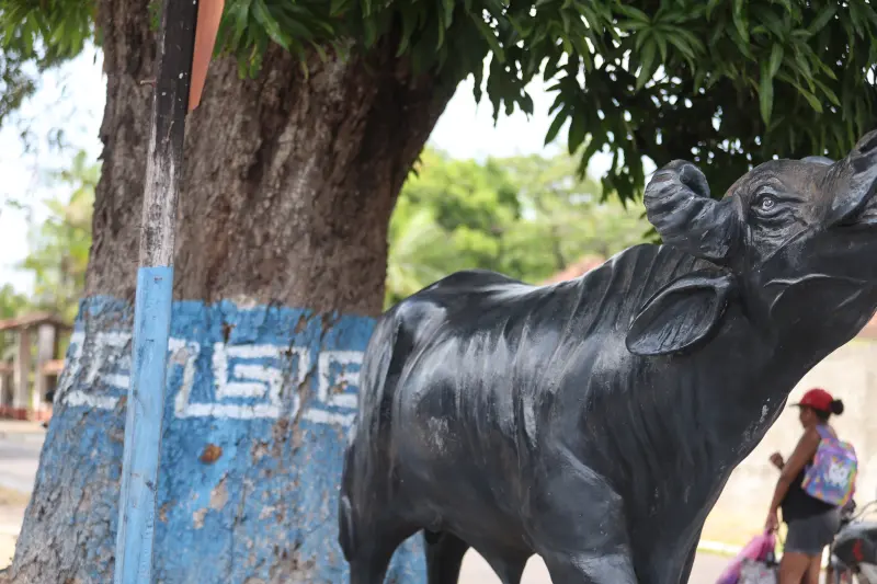  <div class='credito_fotos'>Foto: Bruno Cruz / Ag. Pará &nbsp;&nbsp;|&nbsp;&nbsp; <a href='/midias/2025/originais/20251014133134-GF00025167-F00455127.jpg' download><i class='fa-solid fa-download'></i> Download</a></div>