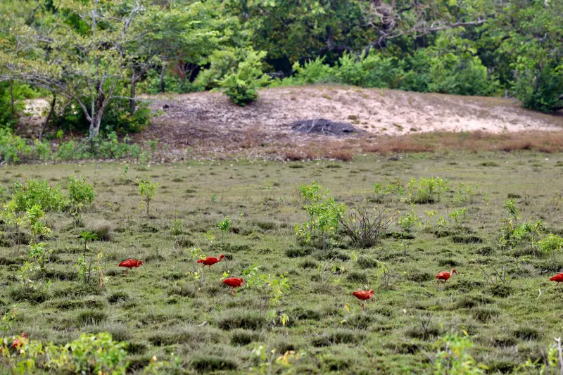  <div class='credito_fotos'>Foto: Bruno Cruz / Ag. Pará &nbsp;&nbsp;|&nbsp;&nbsp; <a href='/midias/2025/originais/20251014133137-GF00025167-F00455128.jpg' download><i class='fa-solid fa-download'></i> Download</a></div>