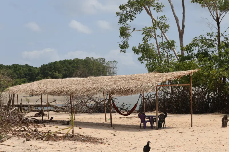  <div class='credito_fotos'>Foto: Bruno Cruz / Ag. Pará &nbsp;&nbsp;|&nbsp;&nbsp; <a href='/midias/2025/originais/20251014133144-GF00025167-F00455131.jpg' download><i class='fa-solid fa-download'></i> Download</a></div>