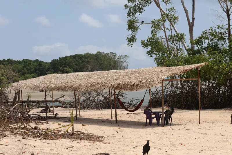  <div class='credito_fotos'>Foto: Bruno Cruz / Ag. Pará &nbsp;&nbsp;|&nbsp;&nbsp; <a href='/midias/2025/originais/20251014133147-GF00025167-F00455132.jpg' download><i class='fa-solid fa-download'></i> Download</a></div>