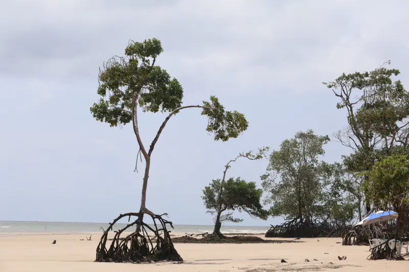  <div class='credito_fotos'>Foto: Bruno Cruz / Ag. Pará &nbsp;&nbsp;|&nbsp;&nbsp; <a href='/midias/2025/originais/20251014133150-GF00025167-F00455133.jpg' download><i class='fa-solid fa-download'></i> Download</a></div>