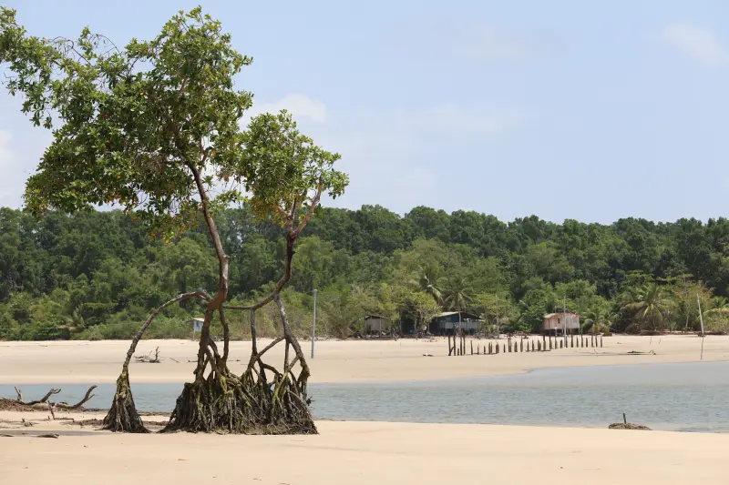  <div class='credito_fotos'>Foto: Bruno Cruz / Ag. Pará &nbsp;&nbsp;|&nbsp;&nbsp; <a href='/midias/2025/originais/20251014133152-GF00025167-F00455134.jpg' download><i class='fa-solid fa-download'></i> Download</a></div>