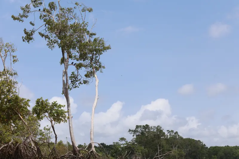  <div class='credito_fotos'>Foto: Bruno Cruz / Ag. Pará &nbsp;&nbsp;|&nbsp;&nbsp; <a href='/midias/2025/originais/20251014133159-GF00025167-F00455137.jpg' download><i class='fa-solid fa-download'></i> Download</a></div>