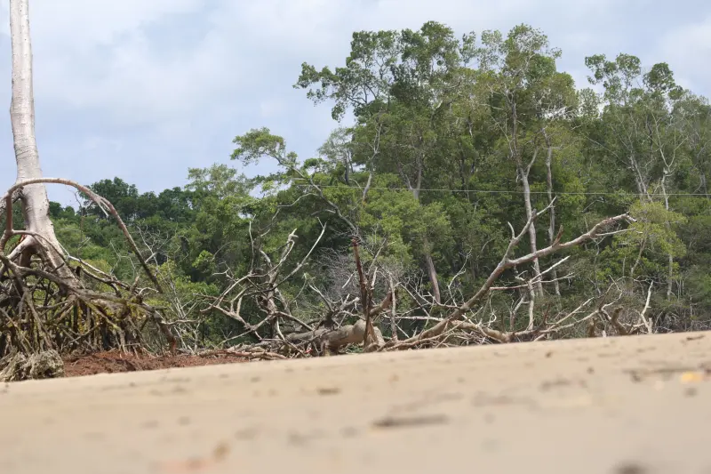  <div class='credito_fotos'>Foto: Bruno Cruz / Ag. Pará &nbsp;&nbsp;|&nbsp;&nbsp; <a href='/midias/2025/originais/20251014133201-GF00025167-F00455138.jpg' download><i class='fa-solid fa-download'></i> Download</a></div>