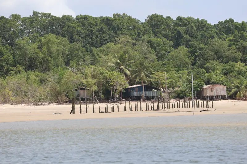  <div class='credito_fotos'>Foto: Bruno Cruz / Ag. Pará &nbsp;&nbsp;|&nbsp;&nbsp; <a href='/midias/2025/originais/20251014133204-GF00025167-F00455139.jpg' download><i class='fa-solid fa-download'></i> Download</a></div>