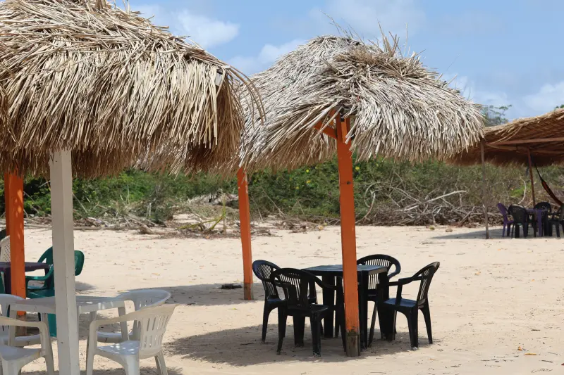  <div class='credito_fotos'>Foto: Bruno Cruz / Ag. Pará &nbsp;&nbsp;|&nbsp;&nbsp; <a href='/midias/2025/originais/20251014133209-GF00025167-F00455141.jpg' download><i class='fa-solid fa-download'></i> Download</a></div>