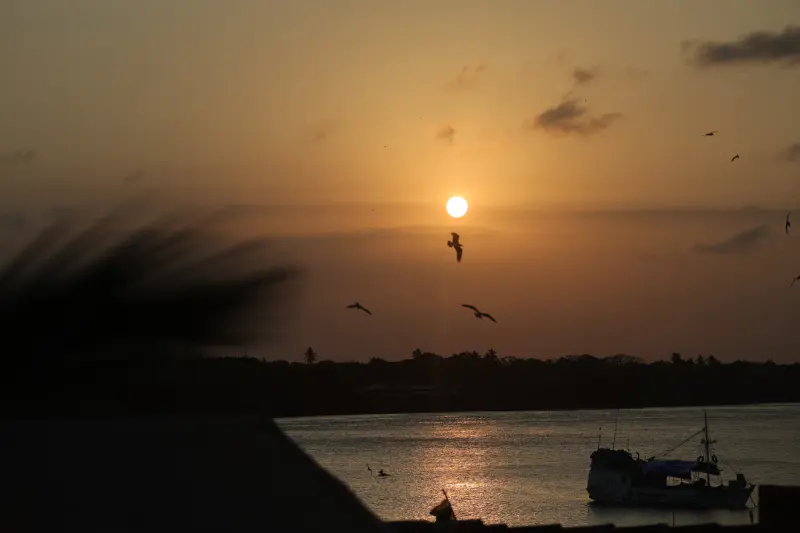  <div class='credito_fotos'>Foto: Bruno Cruz / Ag. Pará &nbsp;&nbsp;|&nbsp;&nbsp; <a href='/midias/2025/originais/20251014133215-GF00025167-F00455144.jpg' download><i class='fa-solid fa-download'></i> Download</a></div>