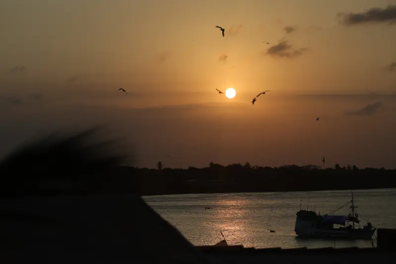  <div class='credito_fotos'>Foto: Bruno Cruz / Ag. Pará &nbsp;&nbsp;|&nbsp;&nbsp; <a href='/midias/2025/originais/20251014133217-GF00025167-F00455145.jpg' download><i class='fa-solid fa-download'></i> Download</a></div>