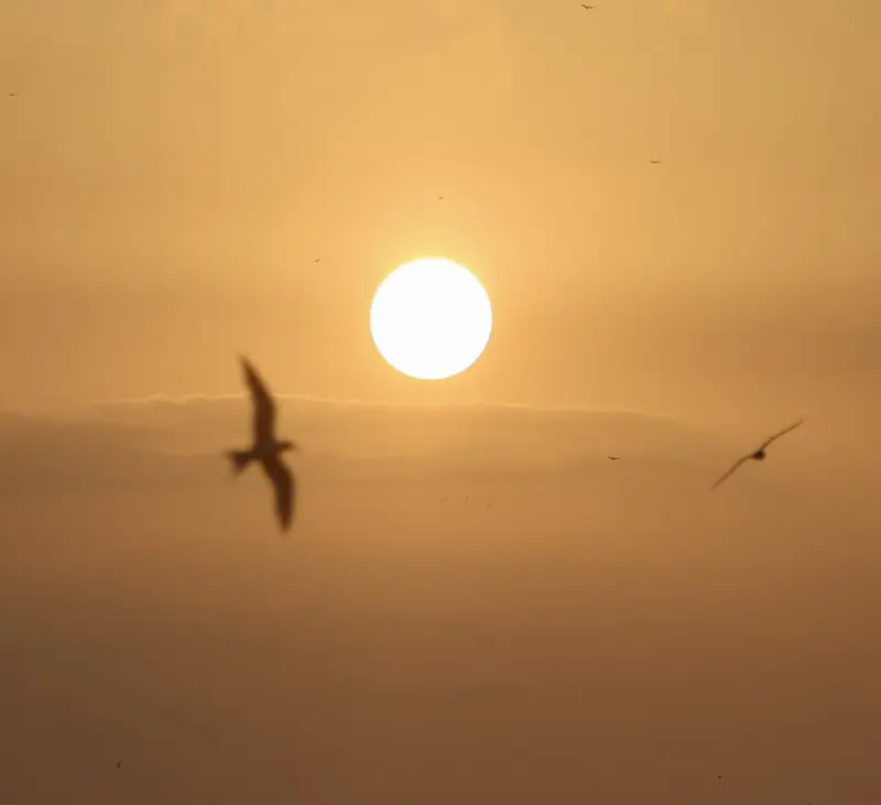  <div class='credito_fotos'>Foto: Bruno Cruz / Ag. Pará &nbsp;&nbsp;|&nbsp;&nbsp; <a href='/midias/2025/originais/20251014133218-GF00025167-F00455146.jpg' download><i class='fa-solid fa-download'></i> Download</a></div>