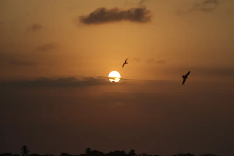  <div class='credito_fotos'>Foto: Bruno Cruz / Ag. Pará &nbsp;&nbsp;|&nbsp;&nbsp; <a href='/midias/2025/originais/20251014133221-GF00025167-F00455148.jpg' download><i class='fa-solid fa-download'></i> Download</a></div>