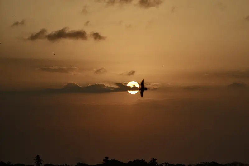  <div class='credito_fotos'>Foto: Bruno Cruz / Ag. Pará &nbsp;&nbsp;|&nbsp;&nbsp; <a href='/midias/2025/originais/20251014133223-GF00025167-F00455149.jpg' download><i class='fa-solid fa-download'></i> Download</a></div>