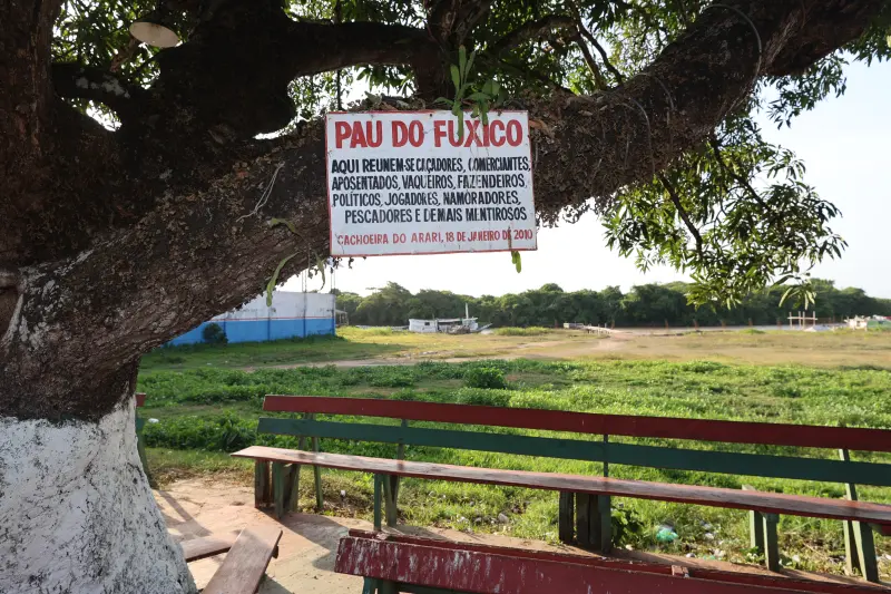  <div class='credito_fotos'>Foto: Bruno Cruz / Ag. Pará &nbsp;&nbsp;|&nbsp;&nbsp; <a href='/midias/2025/originais/20251015131535-GF00025175-F00455446.jpg' download><i class='fa-solid fa-download'></i> Download</a></div>