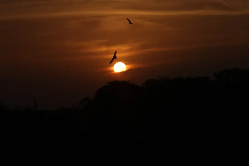  <div class='credito_fotos'>Foto: Bruno Cruz / Ag. Pará &nbsp;&nbsp;|&nbsp;&nbsp; <a href='/midias/2025/originais/20251015131550-GF00025175-F00455454.jpg' download><i class='fa-solid fa-download'></i> Download</a></div>