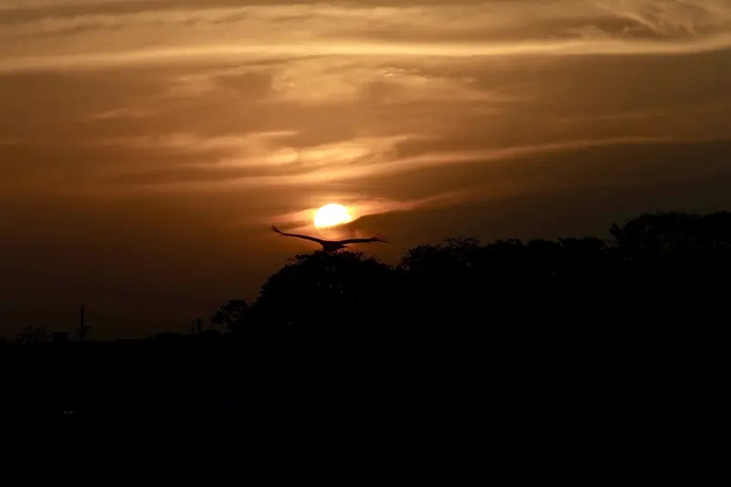  <div class='credito_fotos'>Foto: Bruno Cruz / Ag. Pará &nbsp;&nbsp;|&nbsp;&nbsp; <a href='/midias/2025/originais/20251015131553-GF00025175-F00455456.jpg' download><i class='fa-solid fa-download'></i> Download</a></div>