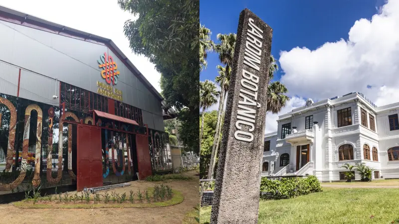 Parceria entre museus promove debate sobre meio ambiente e impulsiona reflexão