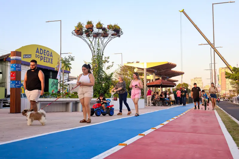  <div class='credito_fotos'>Foto: Bruno Cecim / Ag.Pará &nbsp;&nbsp;|&nbsp;&nbsp; <a href='/midias/2025/originais/20251103195343-GF00025370-F00462493.jpg' download><i class='fa-solid fa-download'></i> Download</a></div>