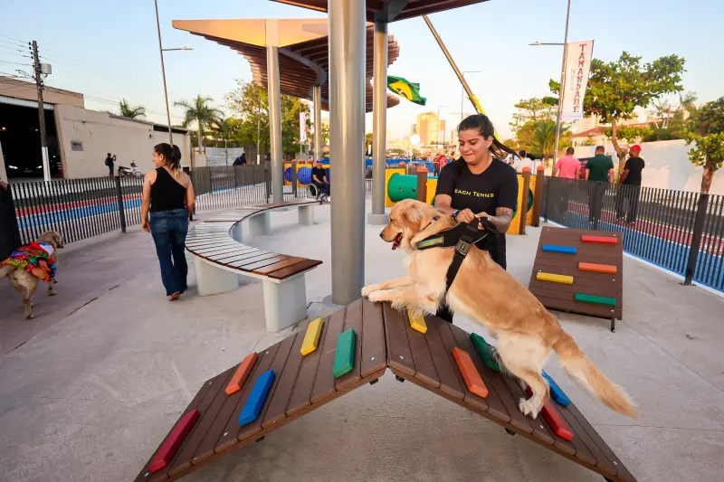  <div class='credito_fotos'>Foto: Bruno Cecim / Ag.Pará &nbsp;&nbsp;|&nbsp;&nbsp; <a href='/midias/2025/originais/20251103195347-GF00025370-F00462495.jpg' download><i class='fa-solid fa-download'></i> Download</a></div>